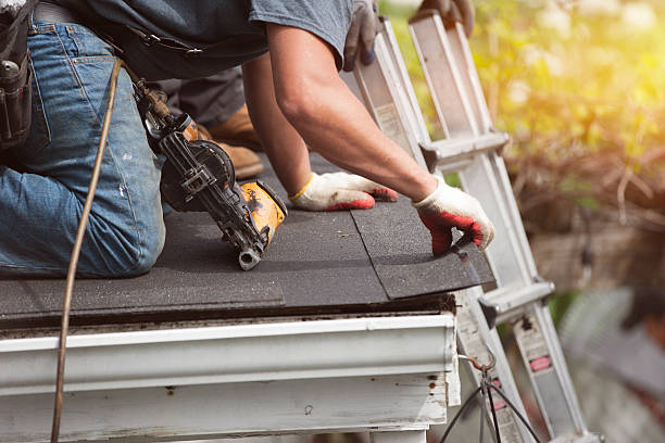 Best Gutter Installation and Roofing  in Buena, NJ